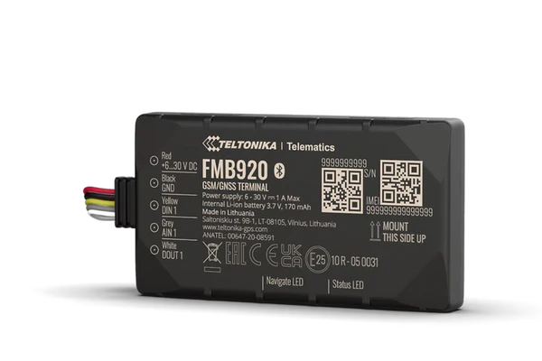 Teltonika FMB920 Localizzatore GPS 2G